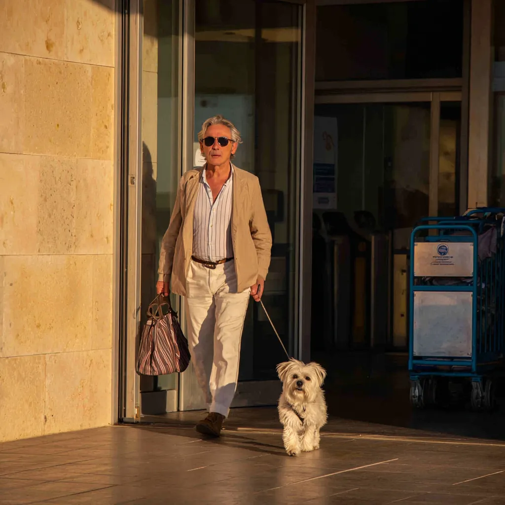 Essential health & documentation checklist (high-level)